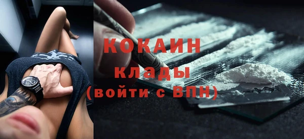 твердый Новозыбков