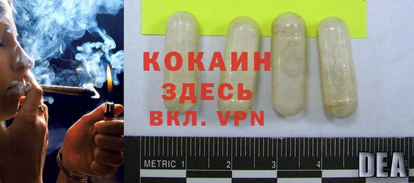 твердый Новозыбков