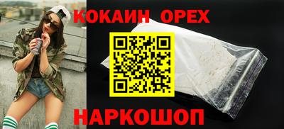крисы Гатчина