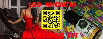 крисы Гатчина