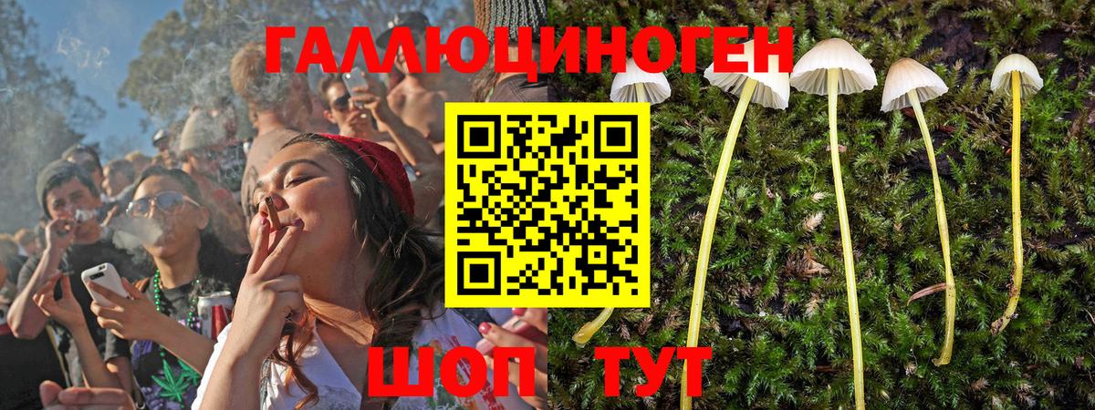 Галлюциногенные грибы мухоморы  как найти наркотики  Алейск 