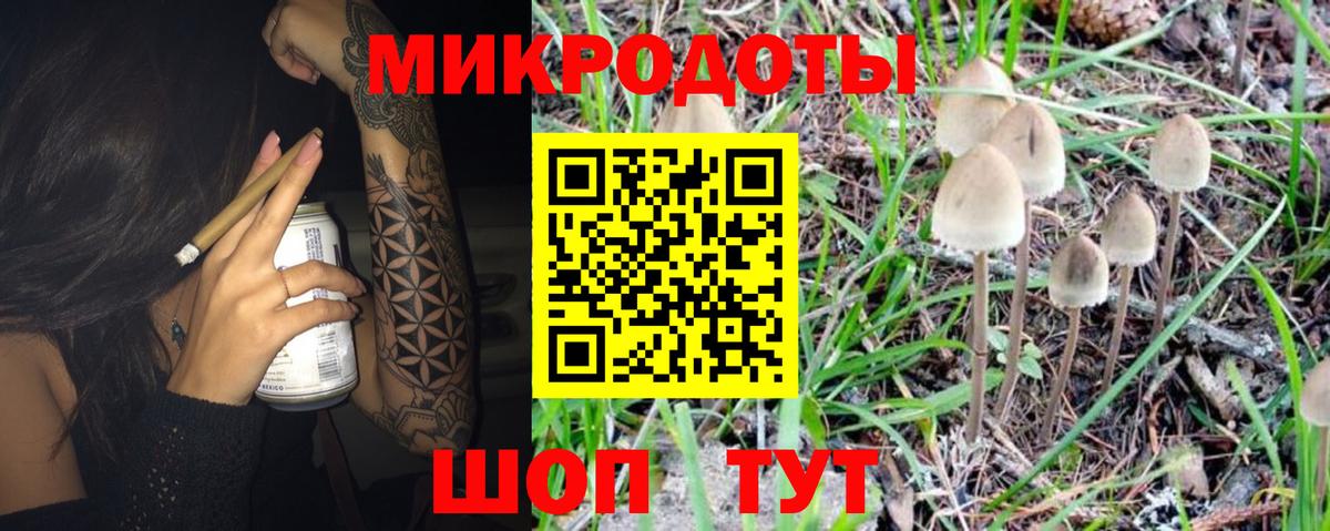 Псилоцибиновые грибы мухоморы Алейск