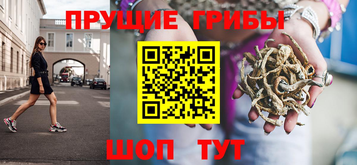 Алейск  Псилоцибиновые грибы мухоморы  Вход с VPN  Галлюциногенные грибы Magic Shrooms 