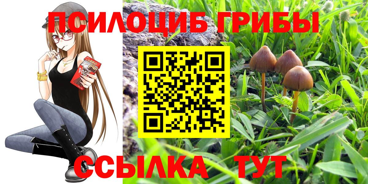 Псилоцибиновые грибы Psilocybe  Вход с VPN  Алейск 