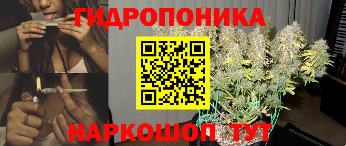 Алейск  Каннабис White Widow  Бошки Шишки марихуана  Вход с VPN 